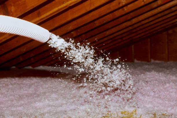 Best Residential Insulation in Brusly, LA
