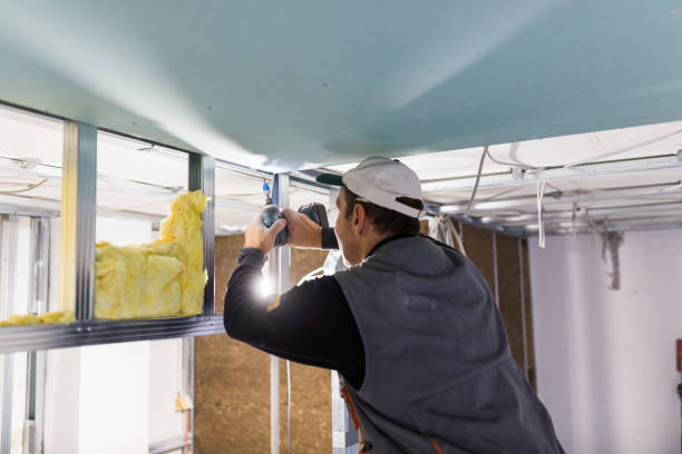 Best Types of Insulation in Brusly, LA