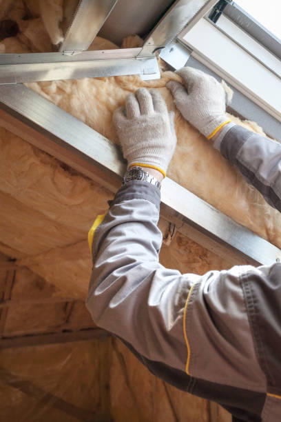 Best Energy Efficiency Solutions in Brusly, LA
