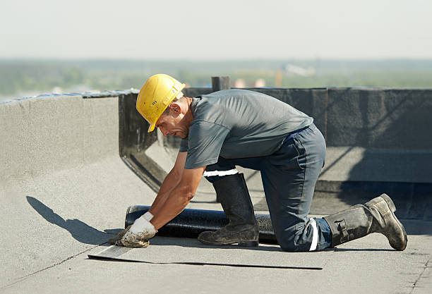 Best Insulation Installation Services in Brusly, LA