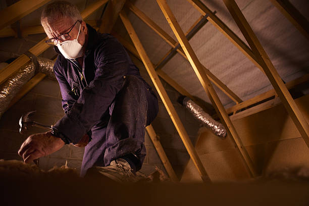 Best Commercial Insulation in Brusly, LA